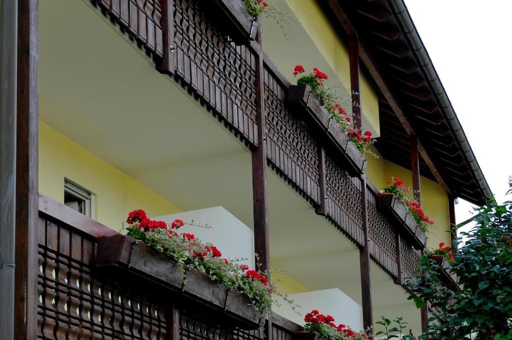 Hotel Tannenhof 스타이넨 객실 사진
